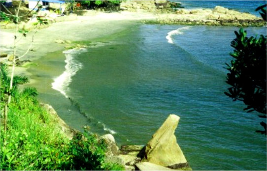 Vista do alto da escada da Praia da Pedra da Freira - Praias de Caraguatatuba